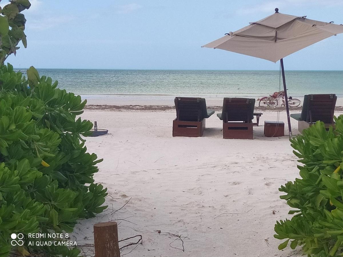 Mi Habitat Holbox-Maravilla Natural Eksteriør billede