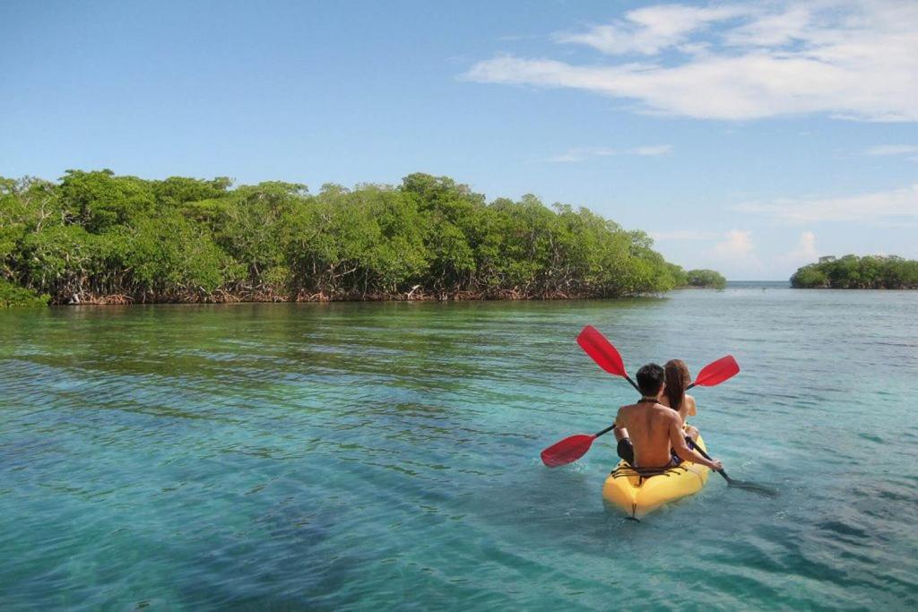 Mi Habitat Holbox-Maravilla Natural Eksteriør billede