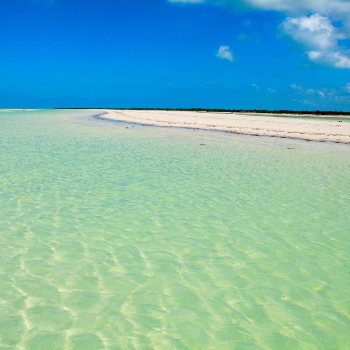 Mi Habitat Holbox-Maravilla Natural Eksteriør billede