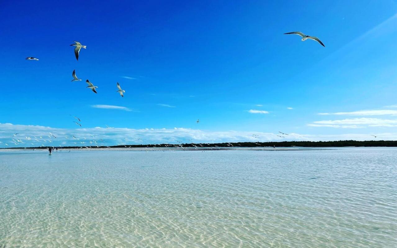 Mi Habitat Holbox-Maravilla Natural Eksteriør billede