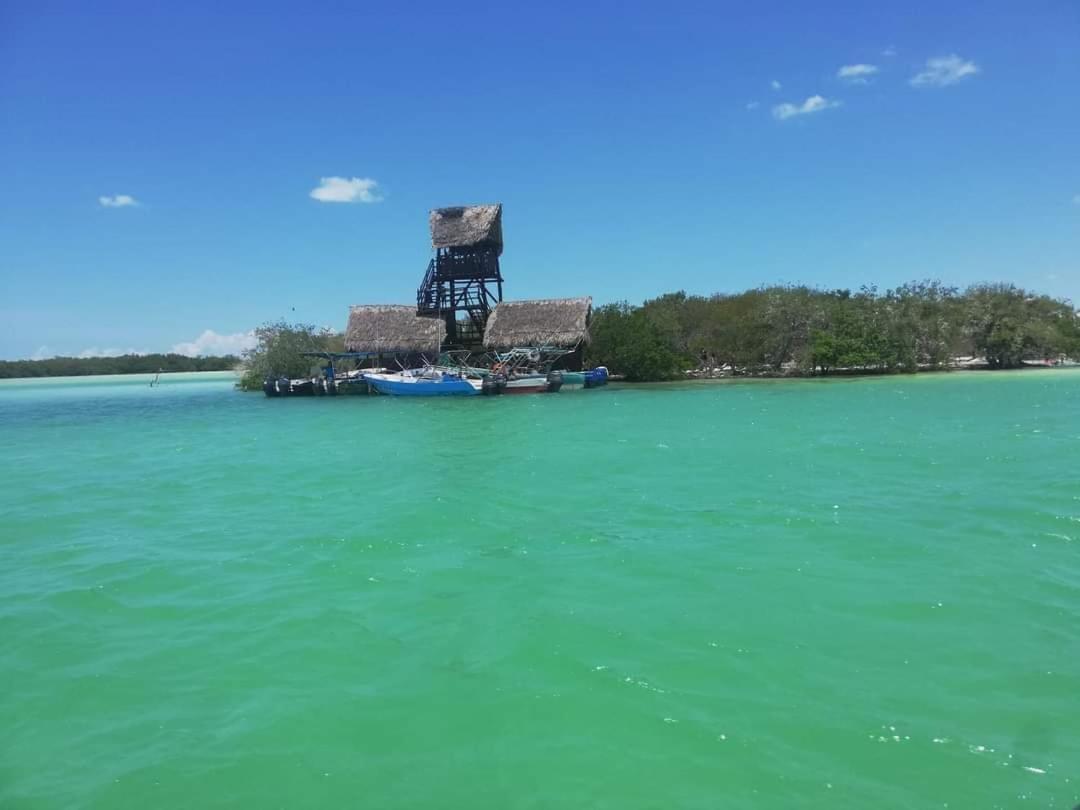 Mi Habitat Holbox-Maravilla Natural Eksteriør billede