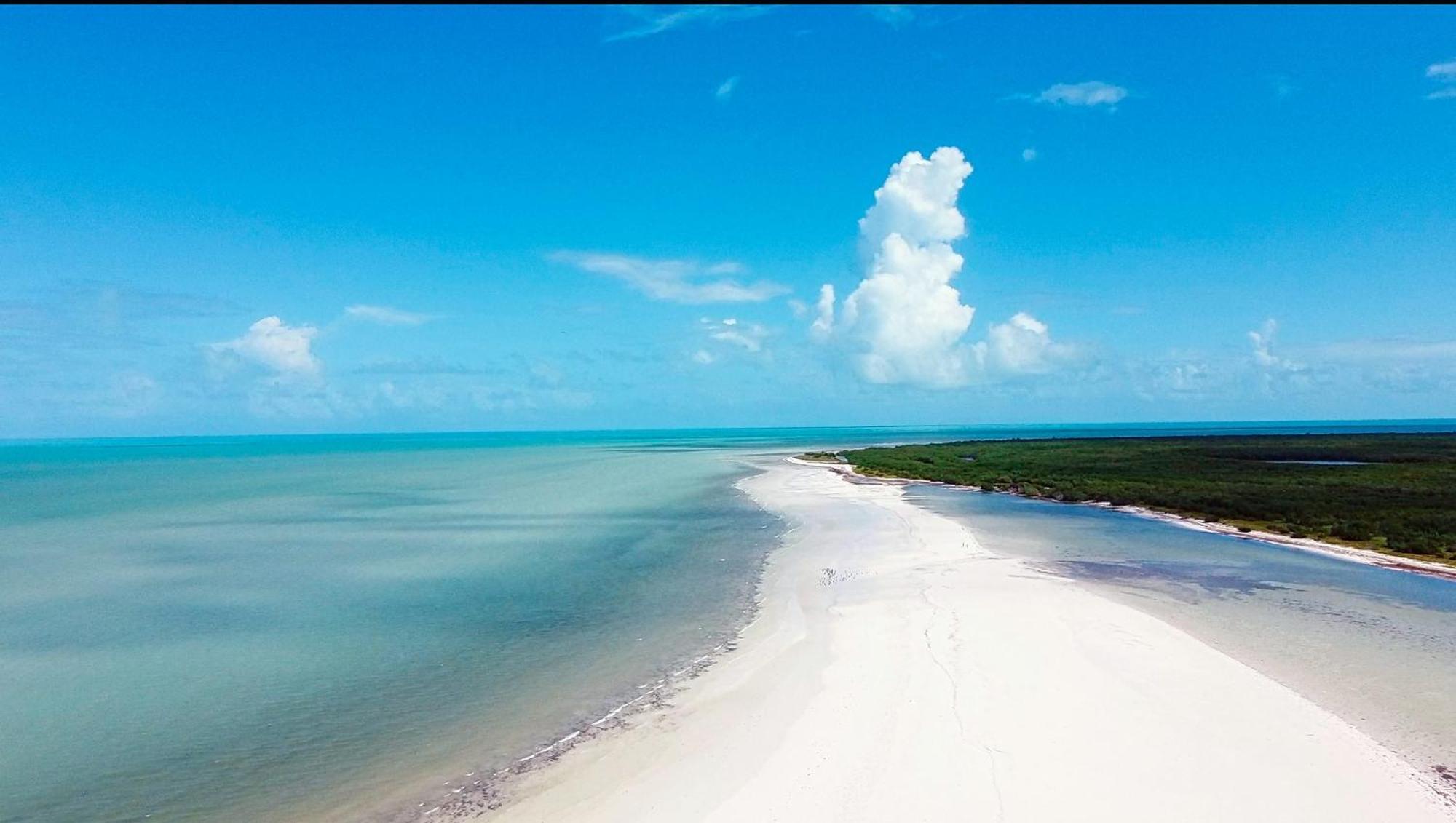 Mi Habitat Holbox-Maravilla Natural Eksteriør billede