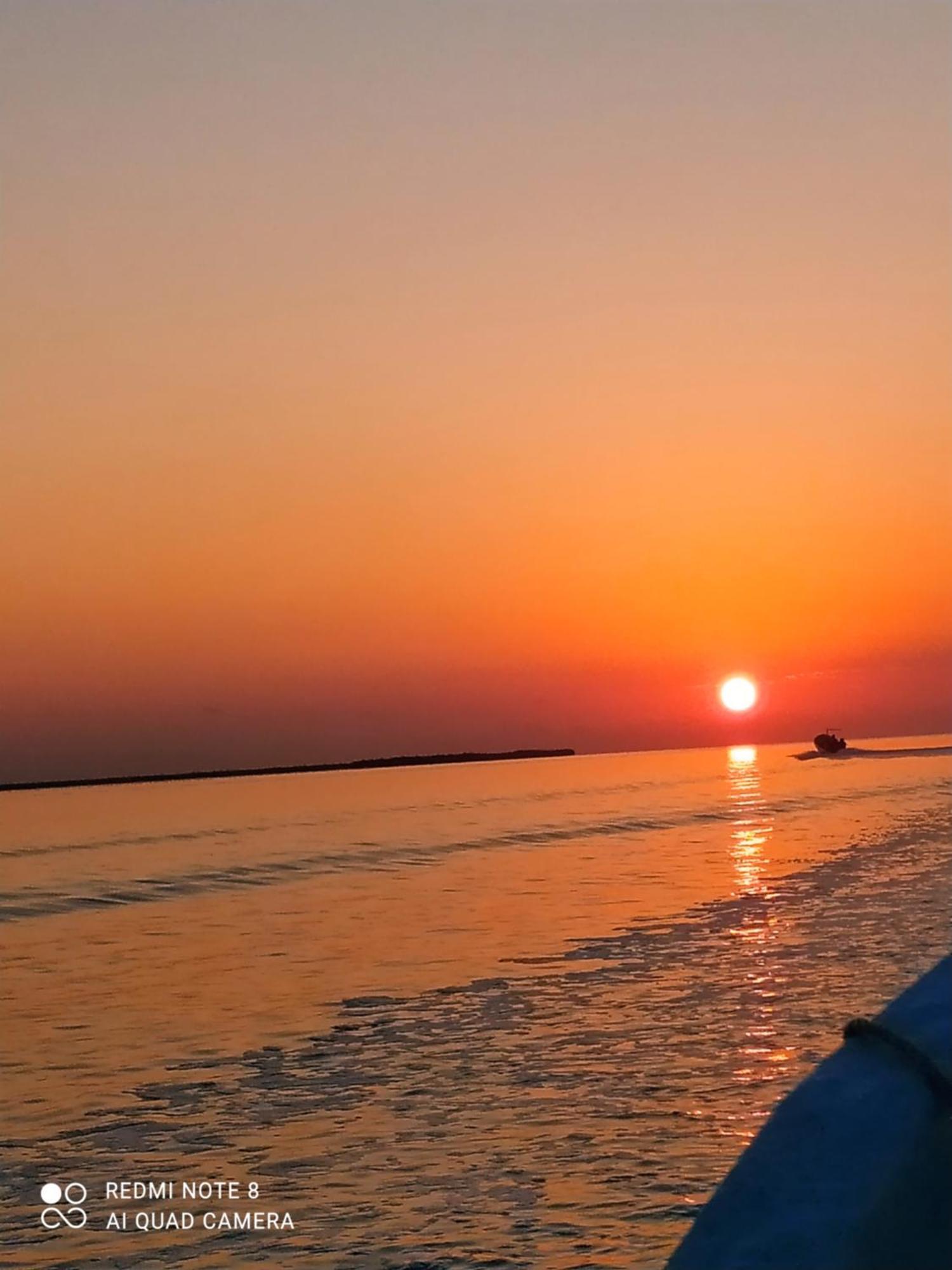 Mi Habitat Holbox-Maravilla Natural Eksteriør billede