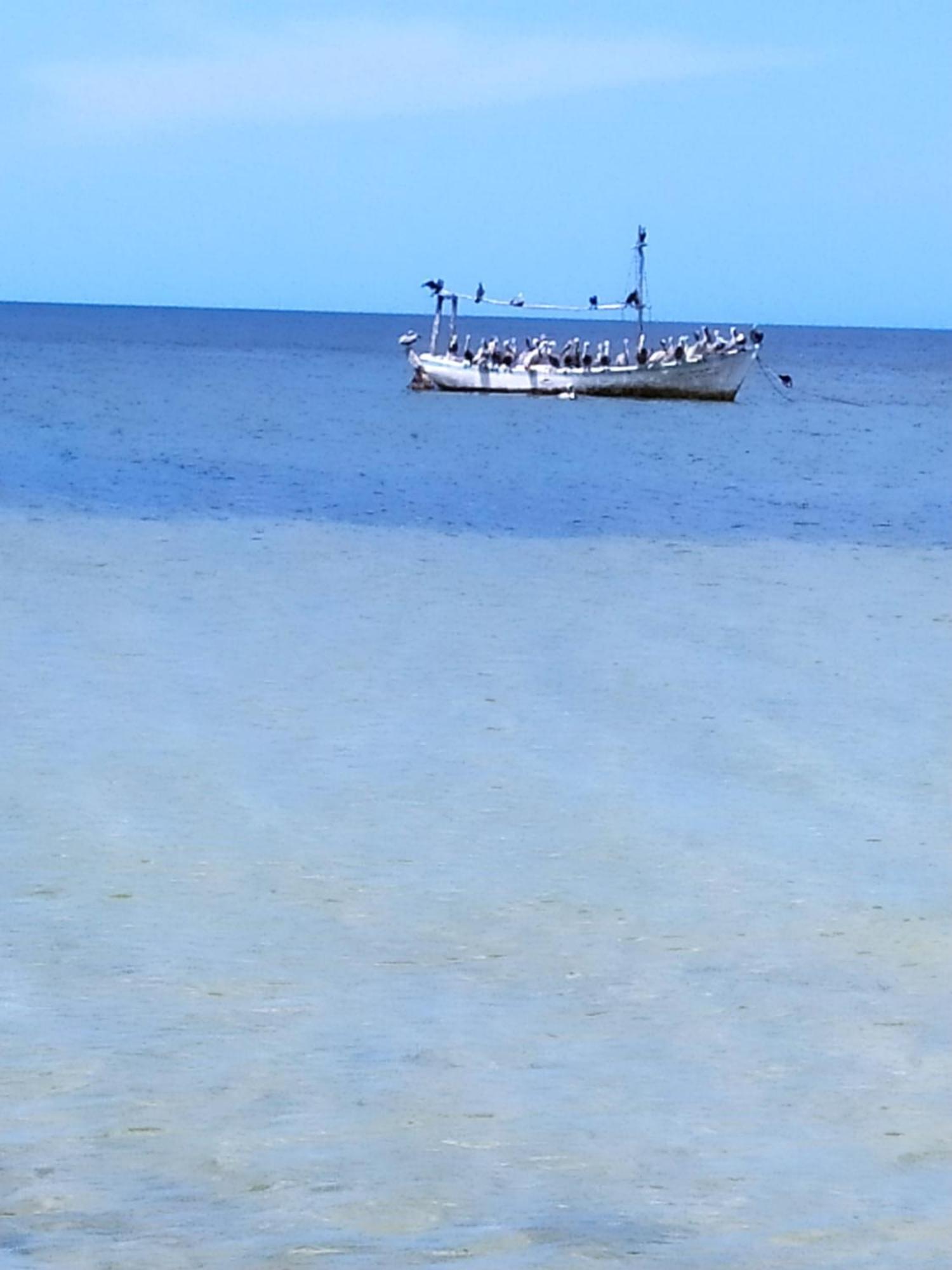 Mi Habitat Holbox-Maravilla Natural Eksteriør billede