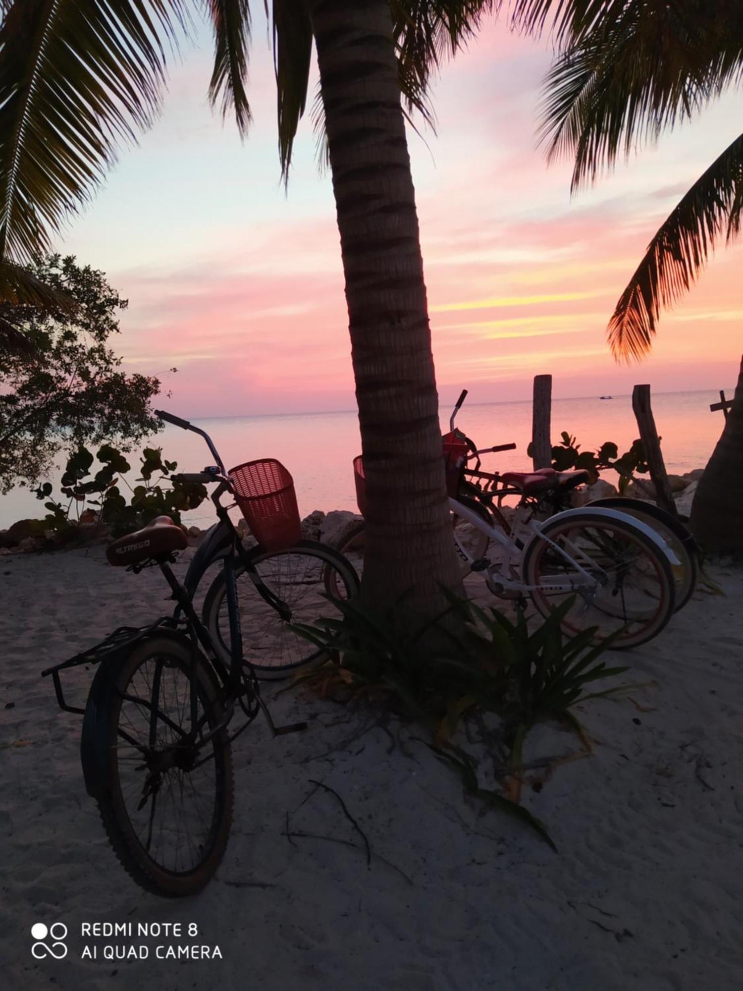 Mi Habitat Holbox-Maravilla Natural Eksteriør billede