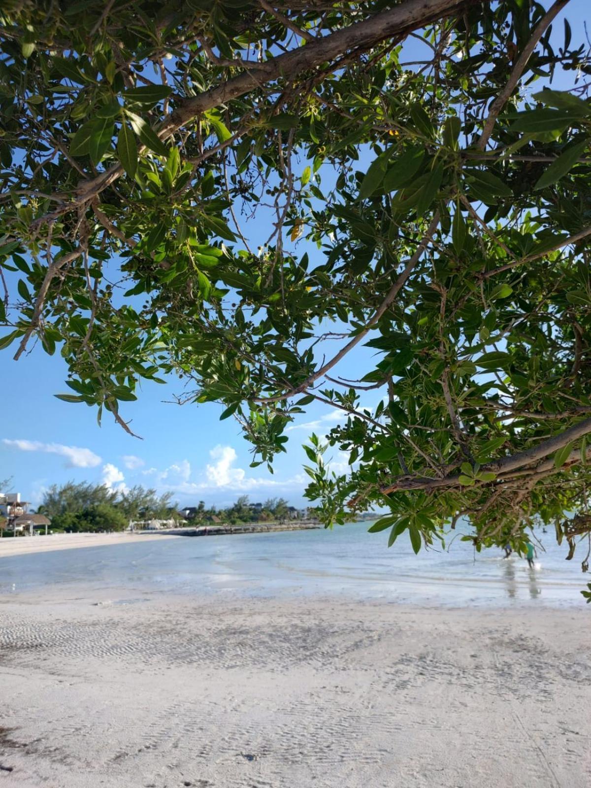 Mi Habitat Holbox-Maravilla Natural Eksteriør billede