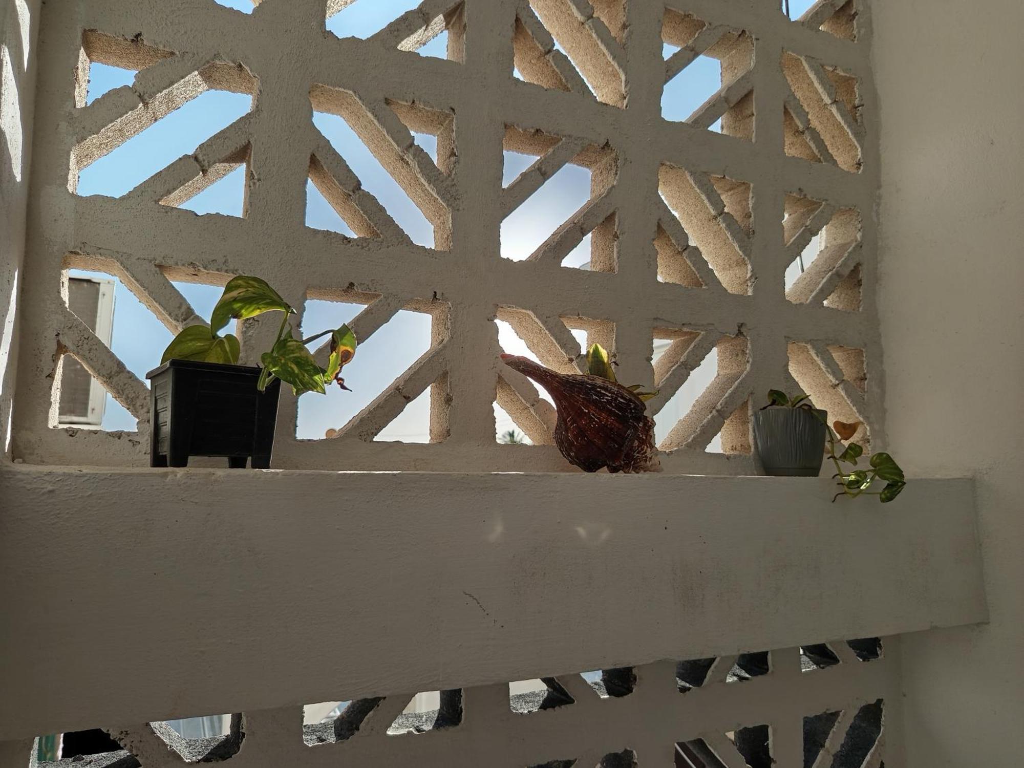 Mi Habitat Holbox-Maravilla Natural Eksteriør billede