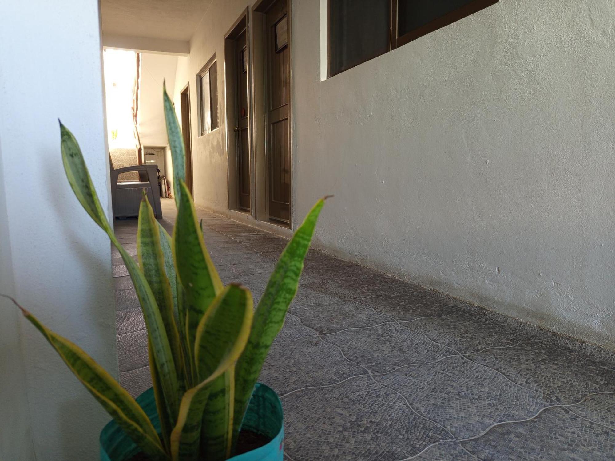 Mi Habitat Holbox-Maravilla Natural Eksteriør billede