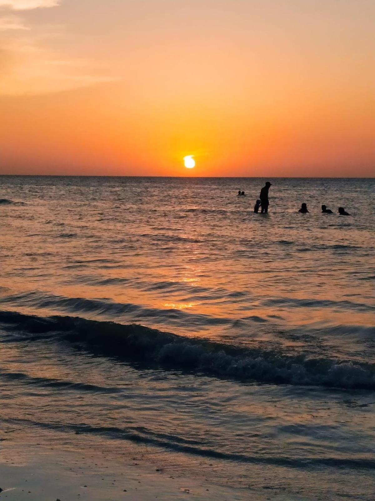 Mi Habitat Holbox-Maravilla Natural Eksteriør billede