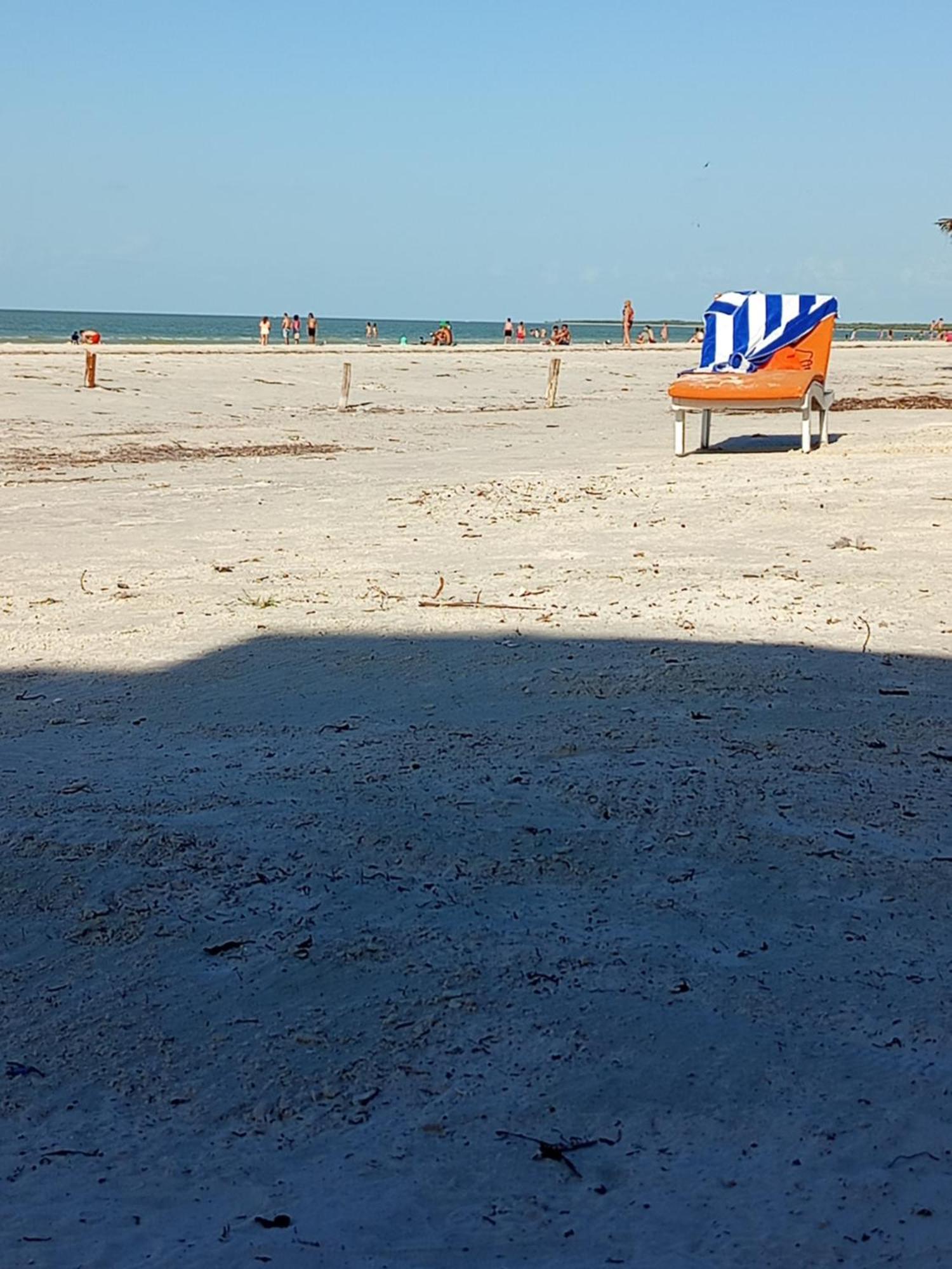 Mi Habitat Holbox-Maravilla Natural Eksteriør billede