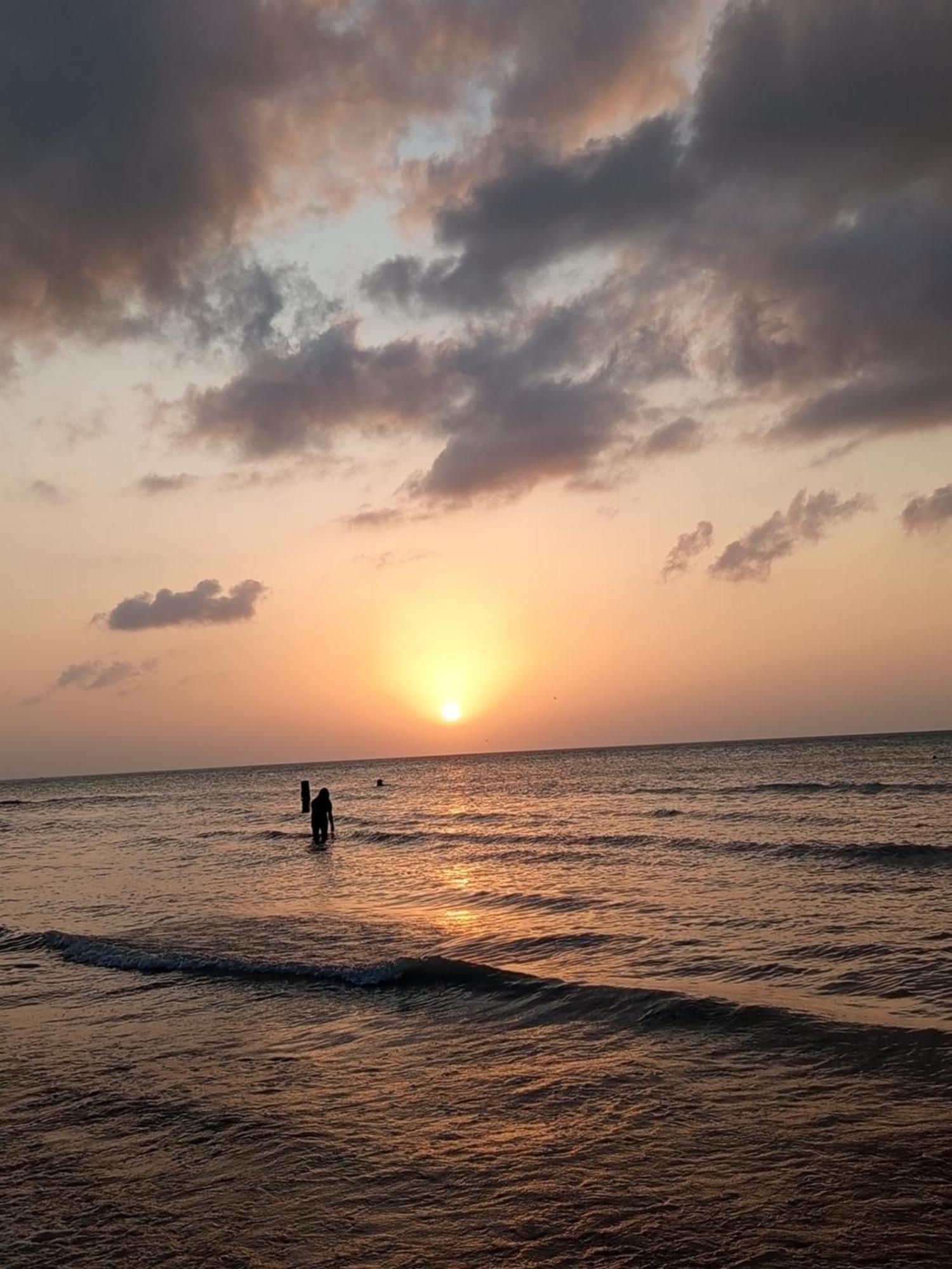 Mi Habitat Holbox-Maravilla Natural Eksteriør billede